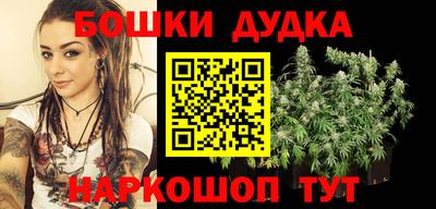 прущие грибы Абакан