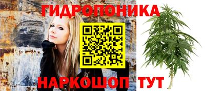 гашик Бугуруслан