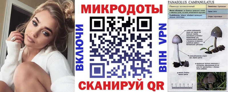 Псилоцибиновые грибы Magic Shrooms  хочу наркоту  Гай 