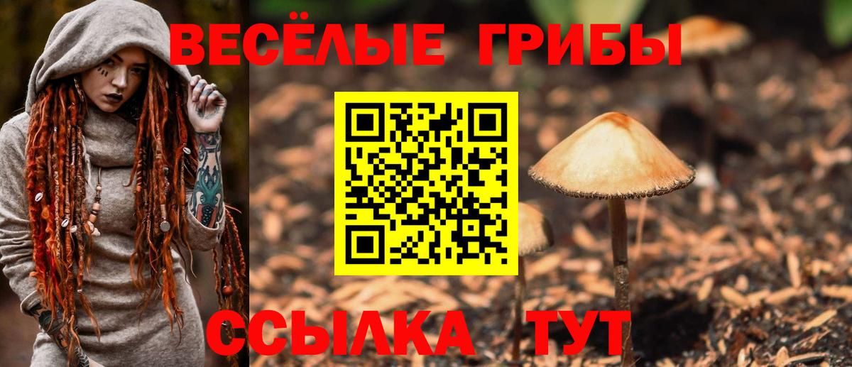 Псилоцибиновые грибы Psilocybine cubensis Гай