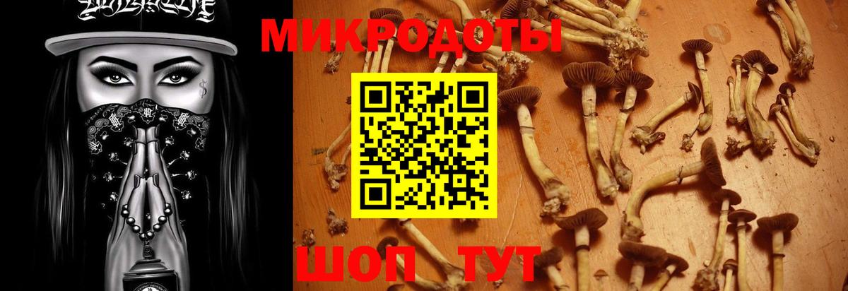 Гай  Псилоцибиновые грибы GOLDEN TEACHER  Вход с VPN 