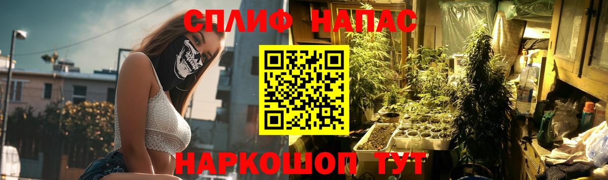 Марихуана Bruce Banner  Марихуана гибрид  Гай  Бошки марихуана VHQ 