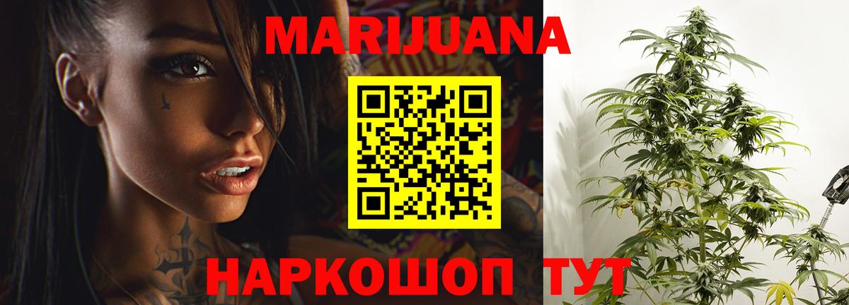 Гай  Канабис сатива  Канабис Ganja  Бошки Шишки THC 21%  Вход с VPN 